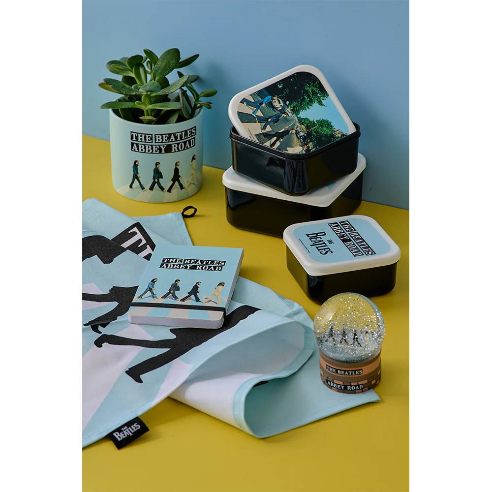 The Beatles x Half Moon Bay Abbey Road Plant Pot - Image 3